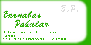 barnabas pakular business card